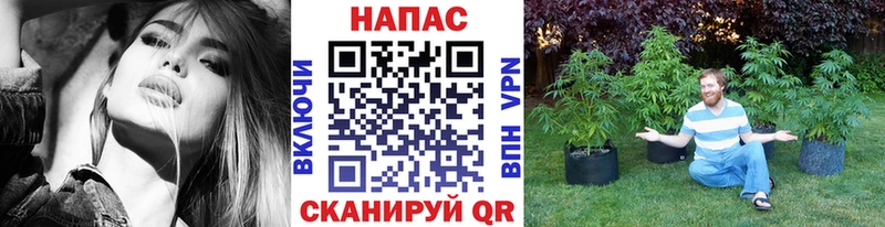 Где купить наркоту Луза Гашиш  гидра как зайти  Мефедрон  Альфа ПВП 